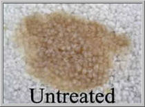 untreated2